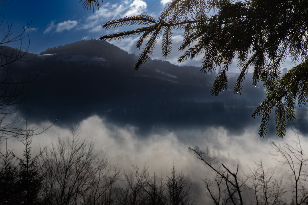 Brume vosgienne